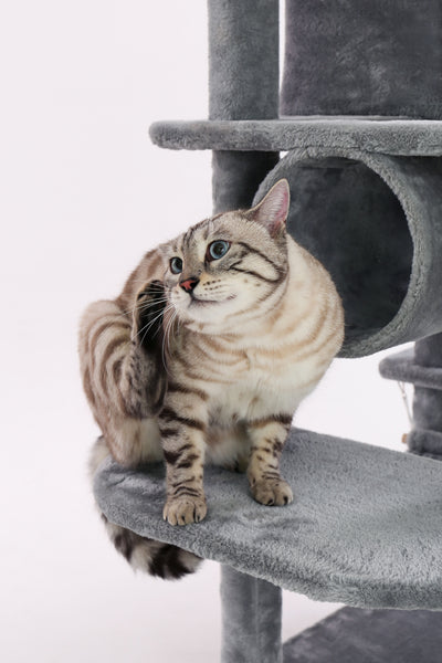 BETTER LIVING Cat Tree Condo Furniture Kitten Activity Tower Pet Kitty Play House with Scratching Posts Perch Hammock Tunnel
